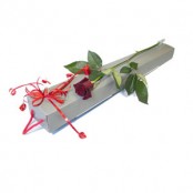 Classic Valentine's Day Boxed Rose